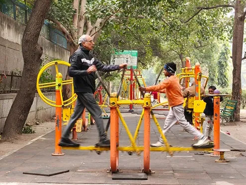 Realme 14 Pro+ telephoto camera sample