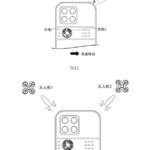 Vivo patent